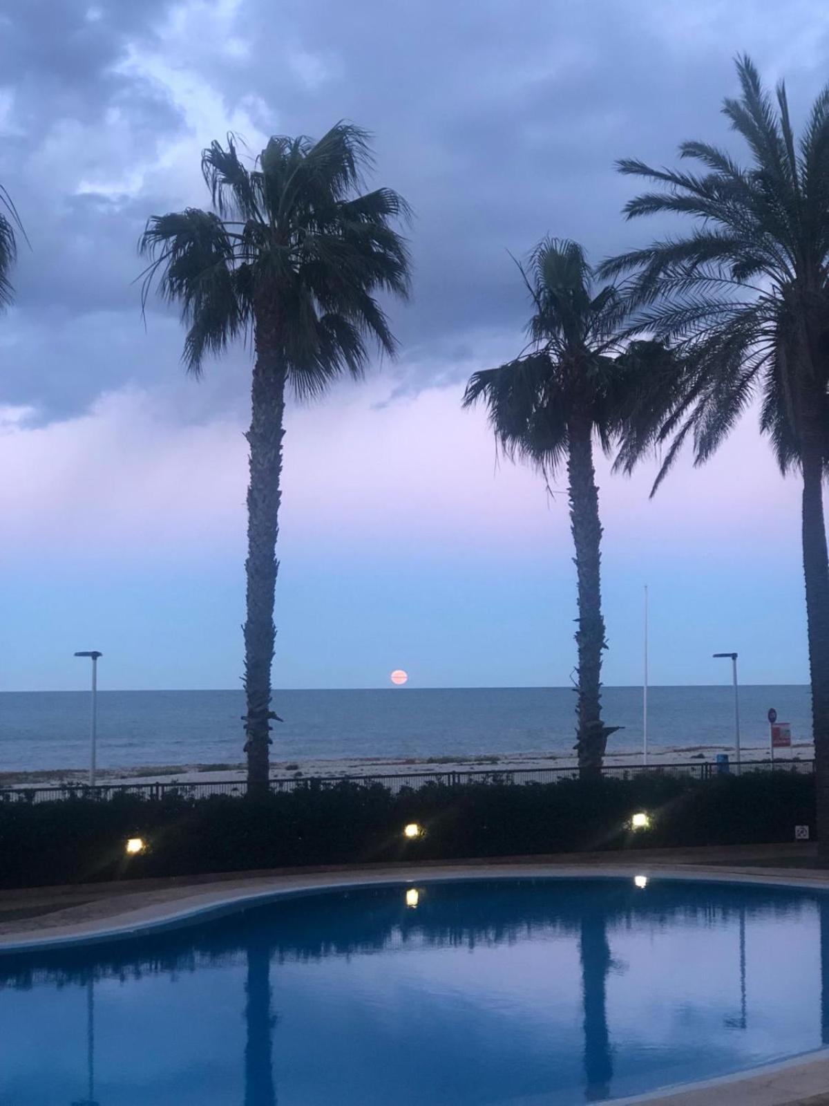 Azul Marino Denia